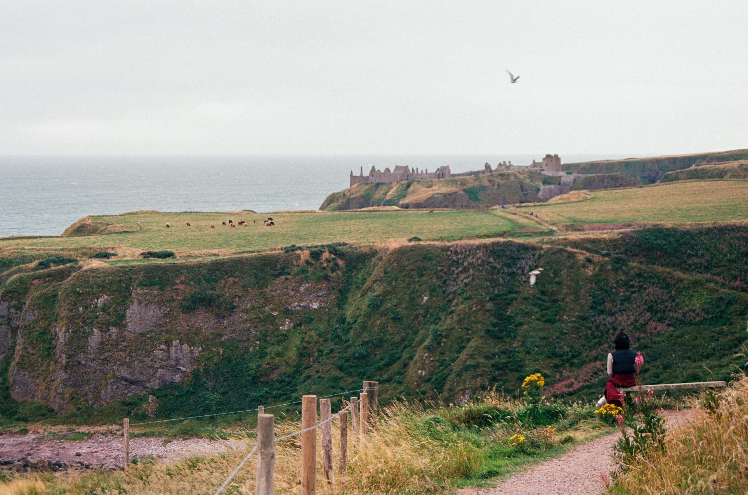 Finding Peace on a Solo Trip to the Scottish Highlands